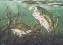 Wildlife Paintings 6 small
