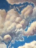 Birds And Sky 360 Mural 2 small