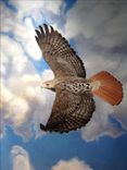 Birds And Sky 360 Mural 1 small