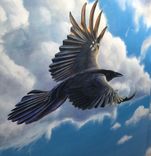 Birds And Sky 360 Mural 6 small
