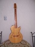 Acoustic/Electric Jazz Hollow Body Guitar 1 small