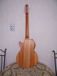 Acoustic/Electric Jazz Hollow Body Guitar 2 small