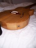 Acoustic/Electric Jazz Hollow Body Guitar 5 small