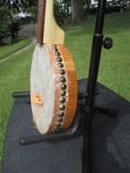 3 String Dulcijo 3 small
