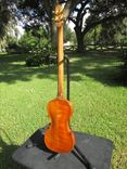 The Appalachian Gitfiddle 4 small