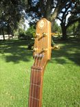 The Appalachian Gitfiddle 5 small