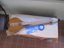 Dark Cypress Mandocello 1 small