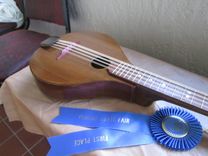 Dark Cypress Mandocello 2 small