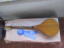 Dark Cypress Mandocello 3 small