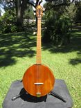 5 String Wood Top Banjourine 1 small