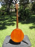 5 String Wood Top Banjourine 2 small