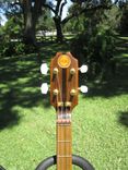 5 String Wood Top Banjourine 6 small