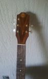 Cypress Resonator Guitar 3 small