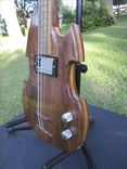 Green Swamp Git-Fiddle 4 small