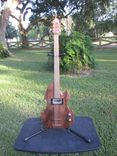 Green Swamp Git-Fiddle 6 small