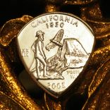 Usa Coin Guitar Pick - Any State - Your Choice - Personalized Gift 4 small