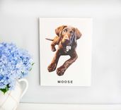 Custom Canvas, Acrylic, Or Wood Prints, For Home Or Business, Logo Signs, Digital Painting 1 small