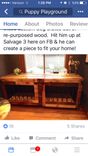 Dog Crates That Can Also Be A Bench, End Table Or Coffee Table 1 small