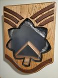 Usaf Enlisted To Officer Shadow Box 4 small