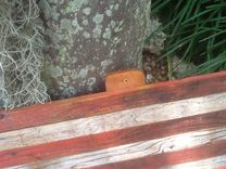 Reclaimed American Flag In Pallet Wood. 6 small