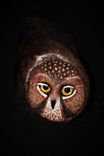 Wood Owl Wall Bird Carving Sculpture 1 small