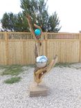 "Blue Moon" Outdoor Sculpture Carved From Juniper Wood 2 small