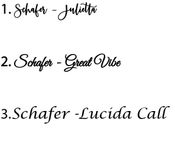 Last Name Sign - Family Name Established Sign - Personalized Signs For Home 3 small