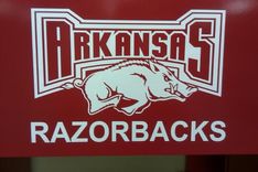 Razorback Loft 2 small