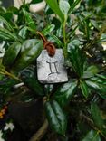 Hand Forged Zodiac Necklace, Pendant, Keychain, Charms 4 small