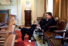 White House Cabinet Room Pedestals 4 small