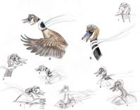 Drawing Service - By The Hour - Custom Illustration Or Sketching 1 small