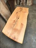 Monterey Cypress Coffee Table 5 small