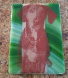 Dog Portrait Plates 5 small