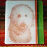 Dog Portrait Plates 3 small