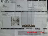 14 Karat  White-Gold 3-D Hand-Carved Poodle Statuette 4 small