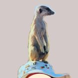 Metal Sculpture From Your Photo! Silver, Gold, Bronze, Brass, Tin 2 small