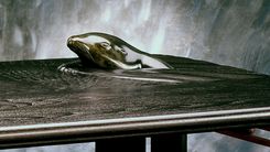 Contemporary Sculpted Coffee Table 1 small