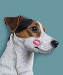 Custom Pet Portrait - 11x14 1 small