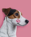 Custom Pet Portrait - 11x14 2 small