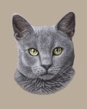 Custom Pet Portrait - 11x14" 1 small
