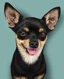Custom Pet Portrait - 11x14" 1 small