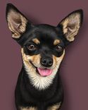 Custom Pet Portrait - 11x14" 3 small