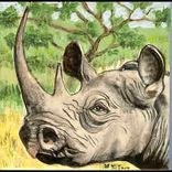 African Wildlife Tiles 5 small