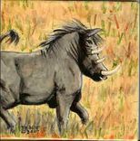 African Wildlife Tiles 6 small