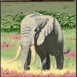 African Wildlife Tiles 7 small
