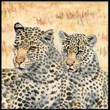 African Wildlife Tiles 1 small