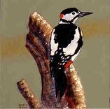 Wild Birds On Hand Painted Ceramic Tile 1 small