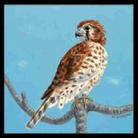 Wild Birds On Hand Painted Ceramic Tile 4 small