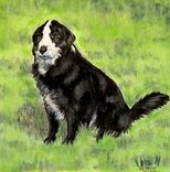 People And Pet Portraits 3 small