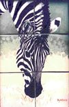 Zebras (Tile) 3 small